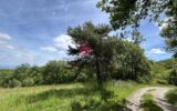 Maison à vendre à Belvèze-du-Razès — Vue montagne — photo 20