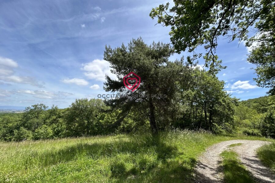 Maison à vendre à Belvèze-du-Razès — Vue montagne — photo 20
