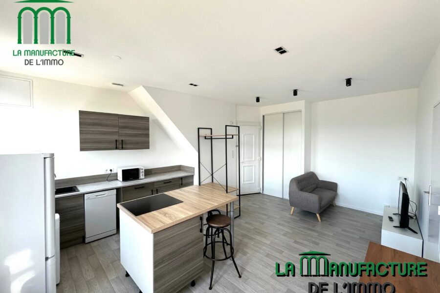 Appartement à louer à Saint-Étienne — Vue nature — photo 4