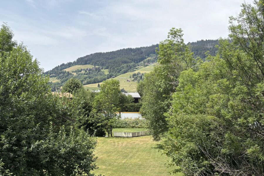Appartement à vendre à Demi-Quartier — Vue nature — photo 8