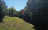 Maison à vendre à Mirande — Vue nature — photo 6