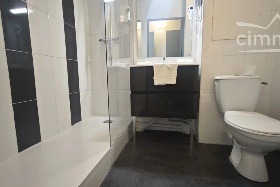 Appartement à vendre à Grenoble — Vue montagne — photo 12