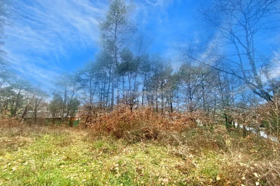 Terrain à vendre à Montans — Vue nature — photo 4