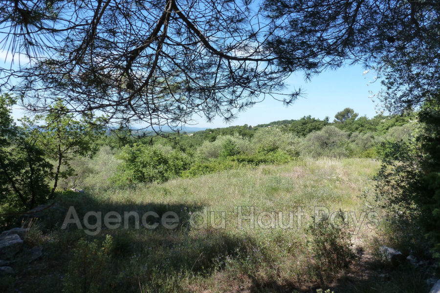 Terrain à vendre à Saint-Cézaire-sur-Siagne — Vue nature — photo 2
