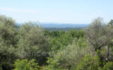 Terrain à vendre à Saint-Cézaire-sur-Siagne — Vue nature — photo 1