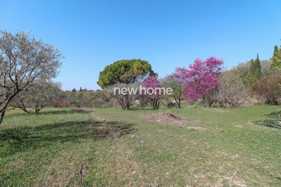 Maison à vendre à Fayence — Vue montagne — photo 7