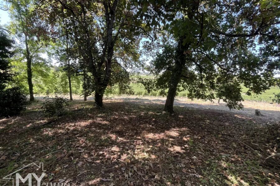 Maison à vendre à Puisseguin — Vue parc & jardin — photo 15