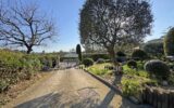 Maison à vendre à Roquefort-les-Pins — Vue dégagée — photo 4