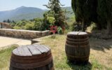 Maison à vendre à Lairière — Vue nature — photo 27