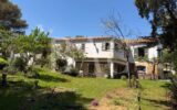 Maison à vendre à Sainte-Maxime — Vue parc & jardin — photo 27