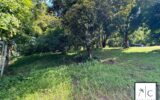Terrain à vendre à Le François — photo 11