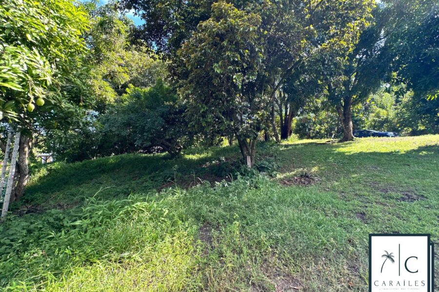 Terrain à vendre à Le François — photo 11