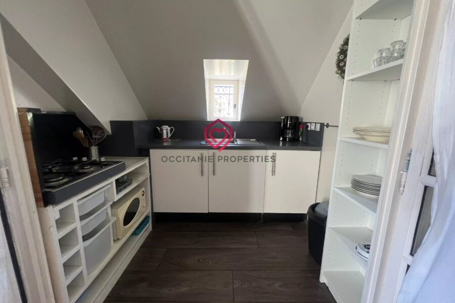 Maison à vendre à Saint-Béat — Vue montagne — photo 46