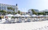 Maison à vendre à Cannes — Vue parc & jardin — photo 3