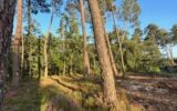 Terrain à vendre à Salles — photo 1