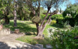 Maison à louer à Juan-les-Pins — Vue mer — photo 10