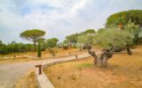 Maison à vendre à La Garde-Freinet — Vue montagne — photo 22
