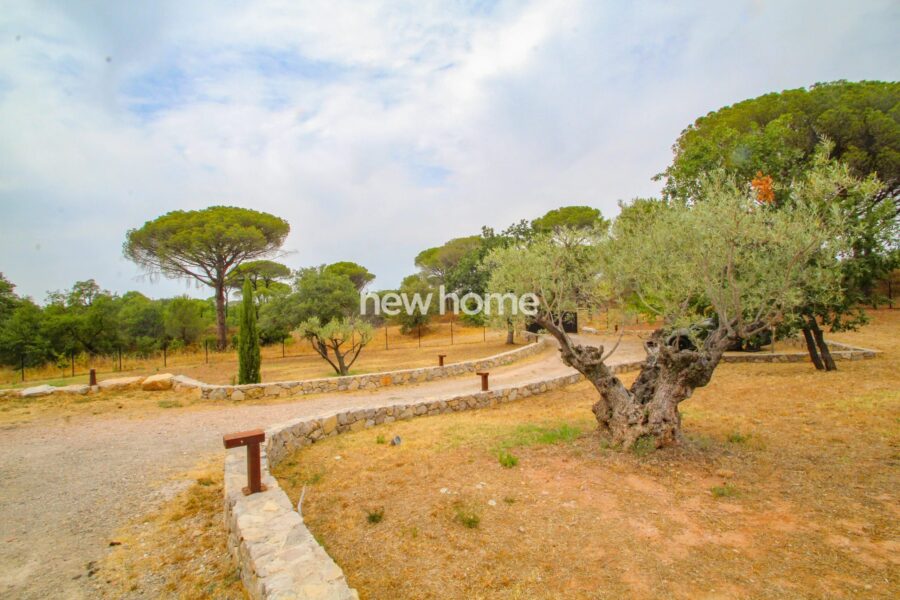 Maison à vendre à La Garde-Freinet — Vue montagne — photo 22