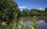 Terrain à vendre à Onlay — Vue lac — photo 2