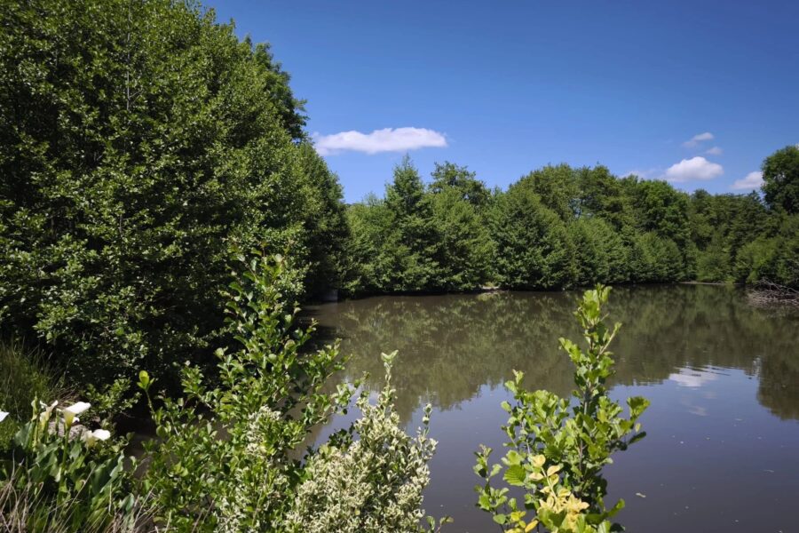 Terrain à vendre à Onlay — Vue lac — photo 2
