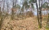Terrain à vendre à Montans — Vue nature — photo 2