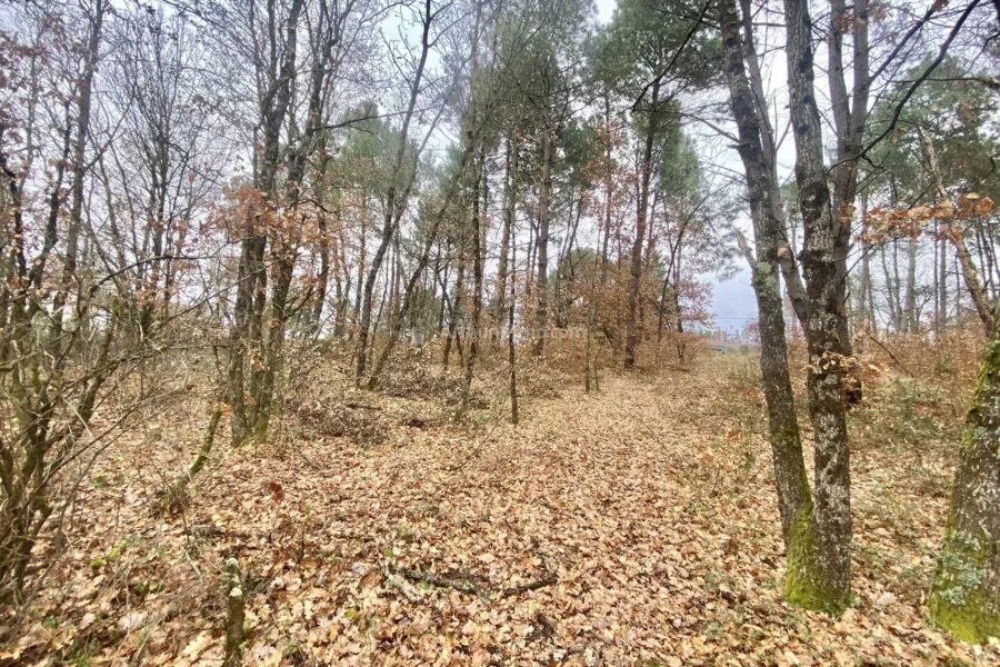 Terrain à vendre à Montans — Vue nature — photo 2