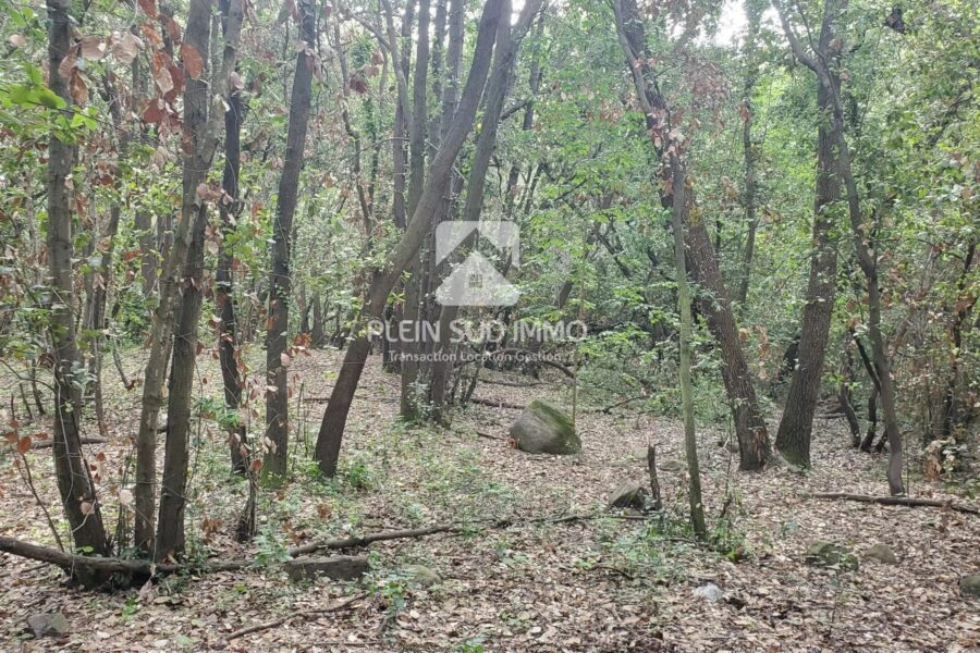 Terrain à vendre à Roquefort-les-Pins — photo 2