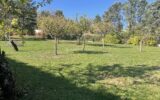 Maison à vendre à Albi — Vue nature — photo 20