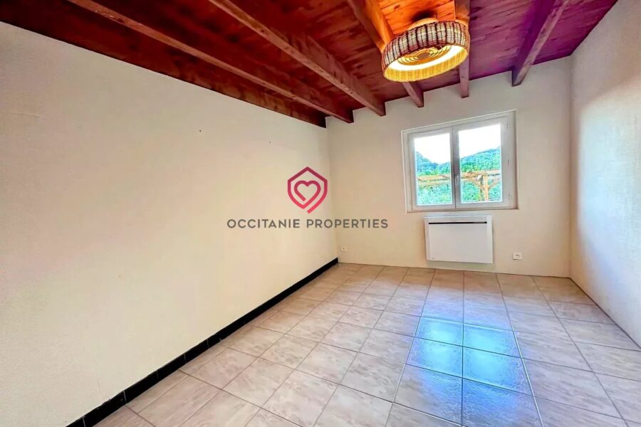 Maison à vendre à Riscle — Vue montagne — photo 10