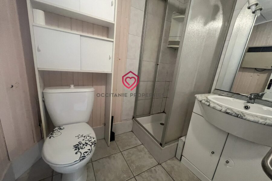 Maison à vendre à Saint-Girons — Vue sur la ville — photo 20