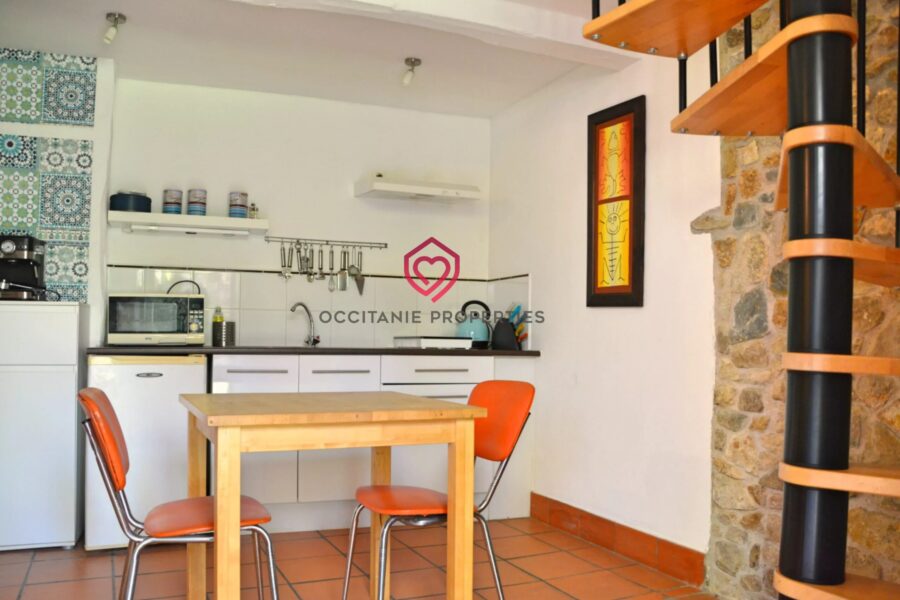 Maison à vendre à Castelnaudary — Vue montagne — photo 22
