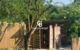 Maison à vendre à Dompierre-sur-Charente — Vue nature — photo 23