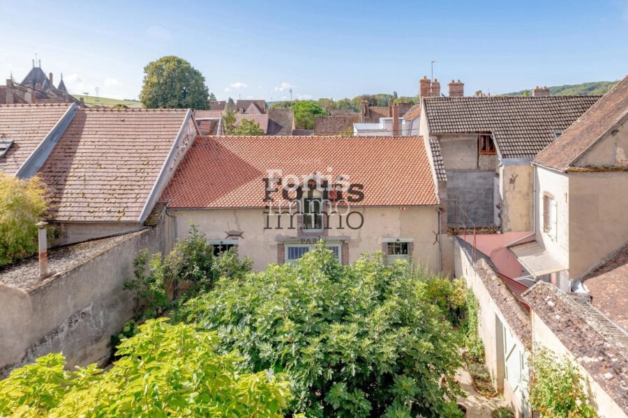 Maison à vendre à Villeneuve-sur-Yonne — Vue parc & jardin — photo 43