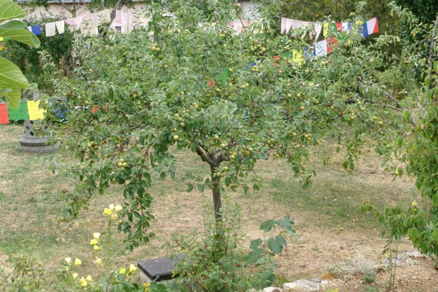 Maison à vendre à Haut Valromey — Vue nature — photo 6