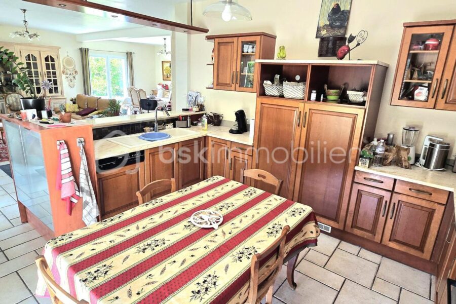 Maison à vendre à Montaut — Vue montagne — photo 6