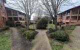 Appartement à louer à L&rsquo;Union — Vue dégagée — photo 6