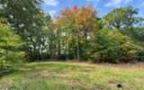 Terrain à vendre à Bois-le-Roi — Vue nature — photo 1