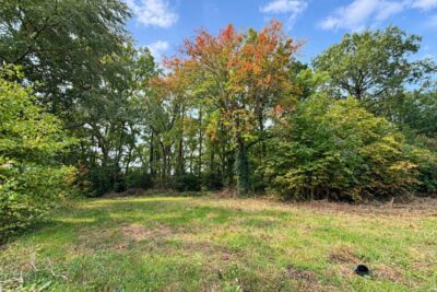Terrain à vendre à Bois-le-Roi