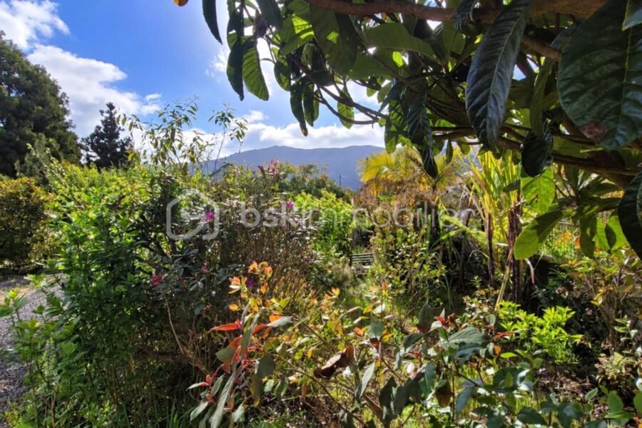 Terrain à vendre à Saint-Joseph — Vue montagne — photo 1