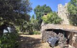 Maison à vendre à La Garde-Adhémar — Vue nature — photo 6
