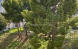 Appartement à vendre à Marseille 10e arrondissement — Vue sur la ville — photo 6