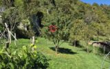 Maison à vendre à Biert — Vue montagne — photo 24
