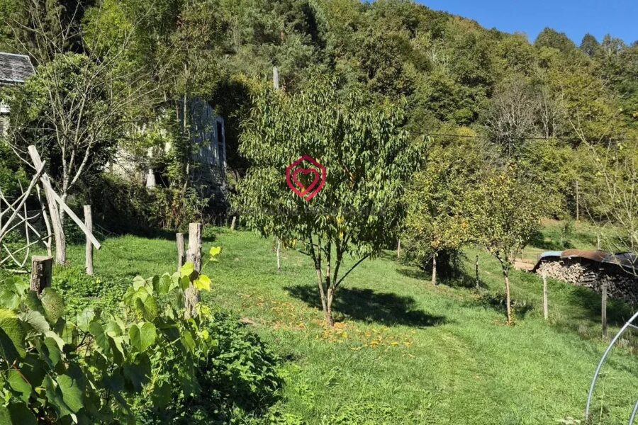 Maison à vendre à Biert — Vue montagne — photo 24