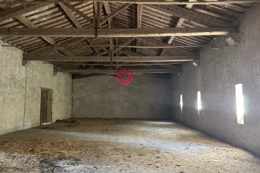 Maison à vendre à Carcassonne — Vue parc & jardin — photo 11