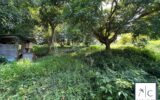 Terrain à vendre à Le François — photo 3
