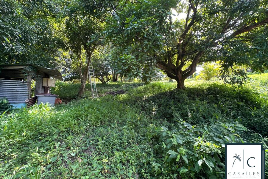 Terrain à vendre à Le François — photo 3
