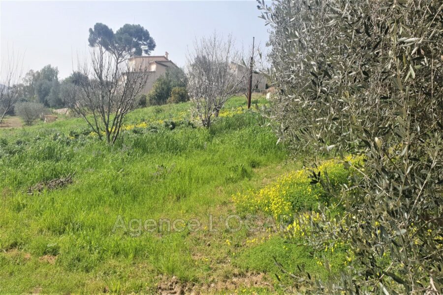 Terrain à vendre à Le Cannet — Vue mer — photo 2