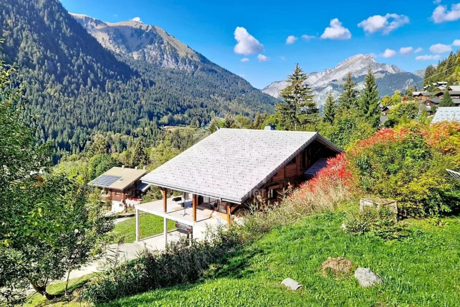 Appartement à vendre à Châtel — Vue montagne — photo 2