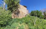 Maison à vendre à Florentin — Vue nature — photo 23