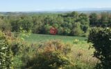 Maison à vendre à Villefranche-de-Lauragais — Vue montagne — photo 28
